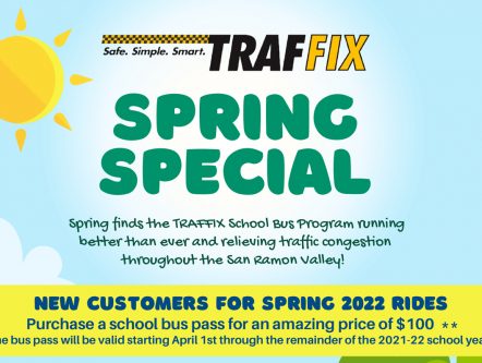 Spring Special Sale